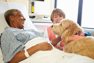 Woman in hospital bed with therapy dog
