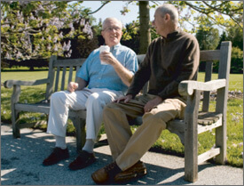Elderly men sitting on a bench while talking