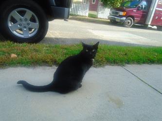 MMC 2015 Picture My Smile - Animals