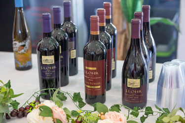 2026 CMC Red, White and Brew Wine Tasting Event