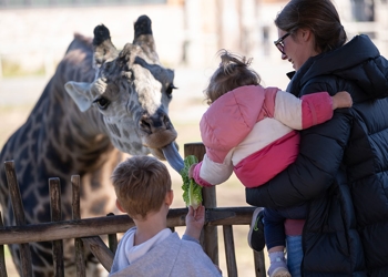 2025 Running With the Devils Race Start