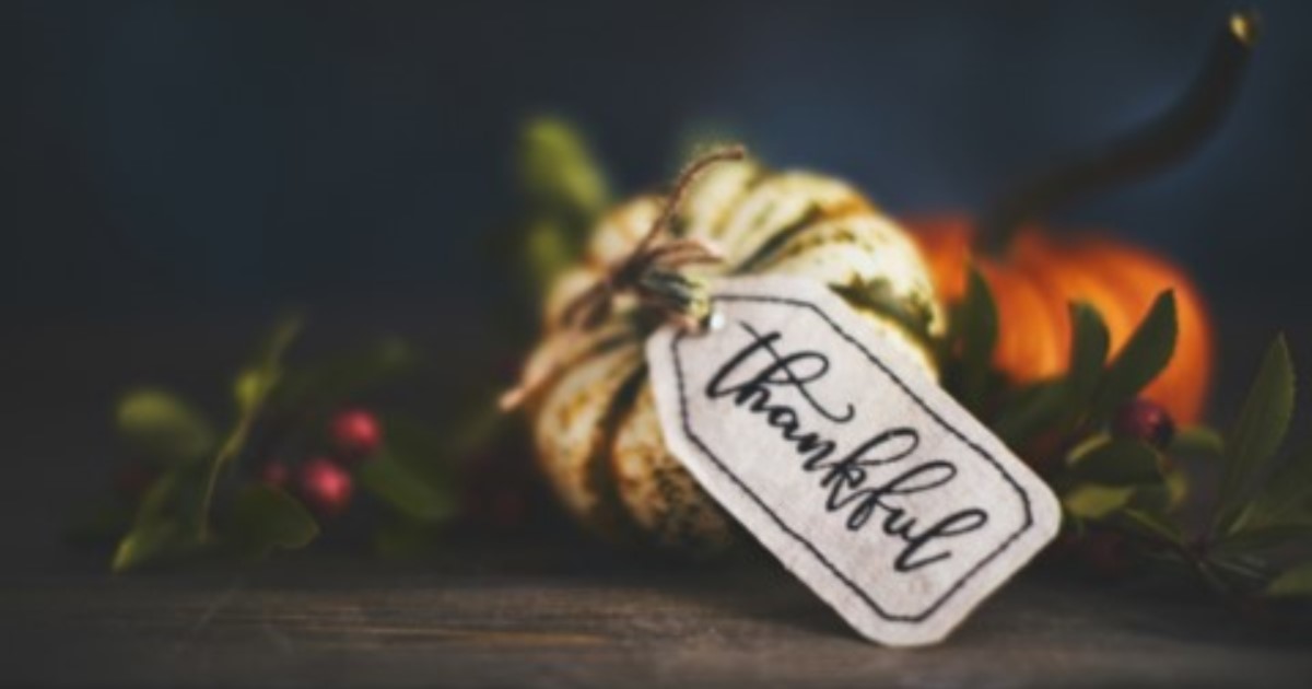 Creative Arts: The Thankful Box - RWJUH Hamilton