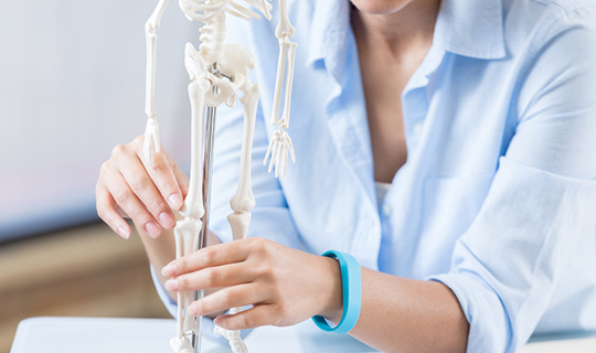 Woman holding skeleton bones