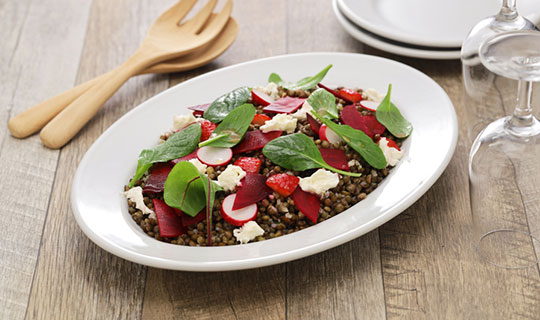 lentil and beet salad with radishes