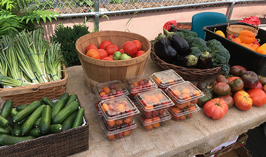 NBI Farmers Market - table with scallions, cucumbers, tomatoes, broccoli, eggplant, and peppers