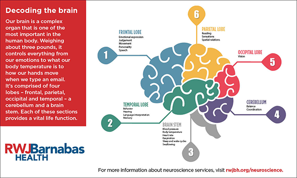 decoding the brain