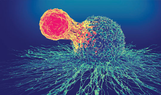 graphic of Car T-cell therapy
