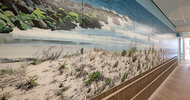 Jack & Sheryl Morris Cancer Center Pediatrics wall