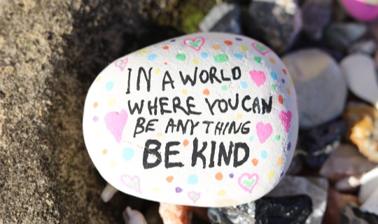 In a World Where You Can Be Anything Be Kind