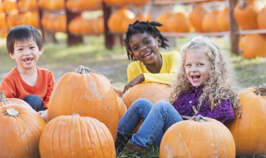 Three children sitting with pumpkins