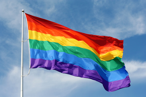 LGBTQ Flag for Transgender Support Groups Page