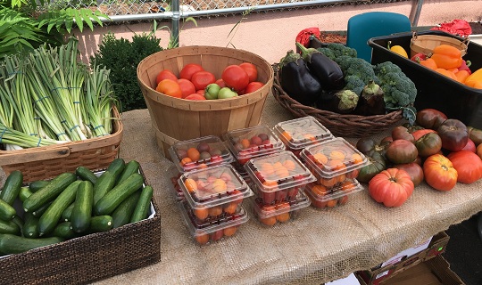 Beth Greenhouse 10th Anniversary Farmers Market and Local Vendor Fair – Newark Beth Israel Medical Center