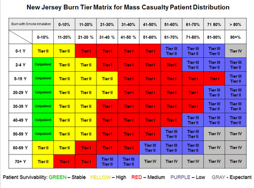 Open PDF of Burn Tier Matrix