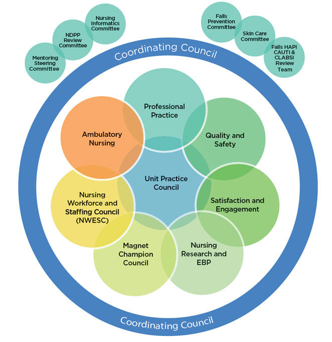Shared Governance Nursing at Jersey City Medical Center Jersey City, NJ