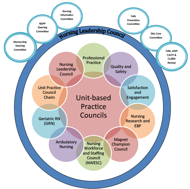 Chart: Nursing Leadership Council Unit-based Practice Councils