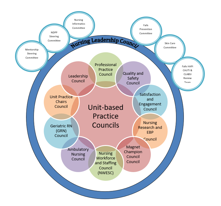 Chart: Nursing Leadership Council Unit-based Practice Councils