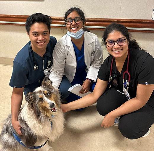 3 doctors petting the therapy dog
