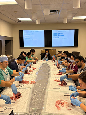 NBI Cardiology Fellows