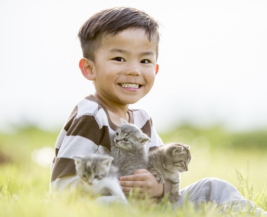 Boy in a field with cats in his lap