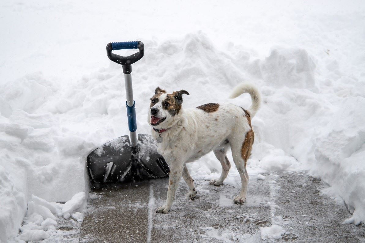 Shoveling Snow Tips from Physical Therapy: Warming Up and Mechanics