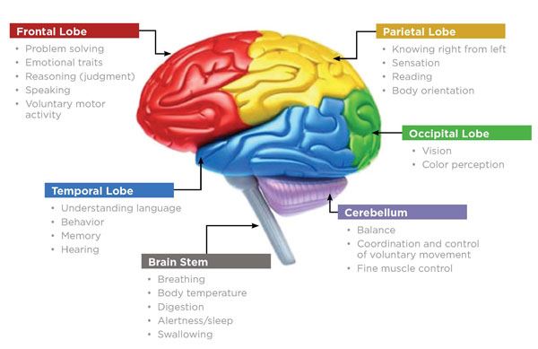 Navigating-Your-Brain-Through-Recovery