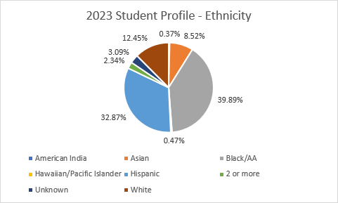 2023 student profile by ethnicity